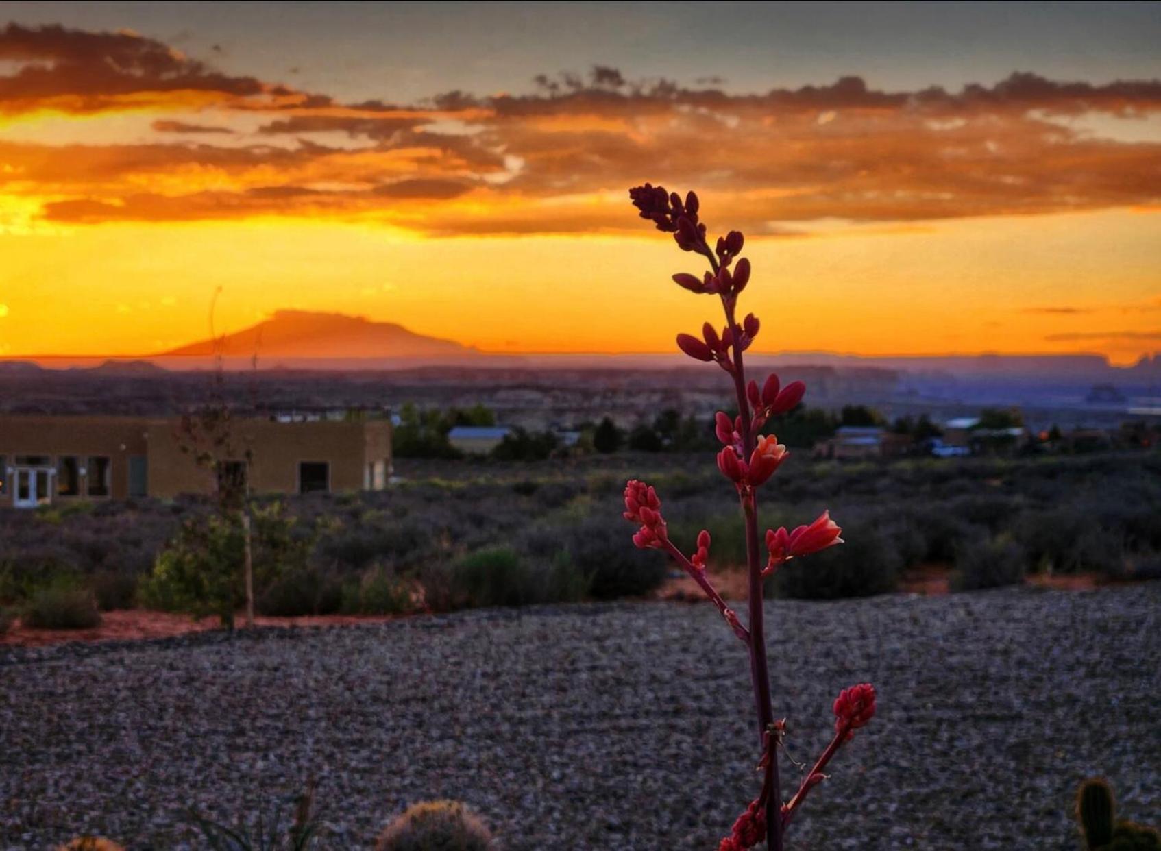 Page Arizona Border Town- Crimson Suite, Desert Canyon Getaway With Views Big Water Eksteriør bilde